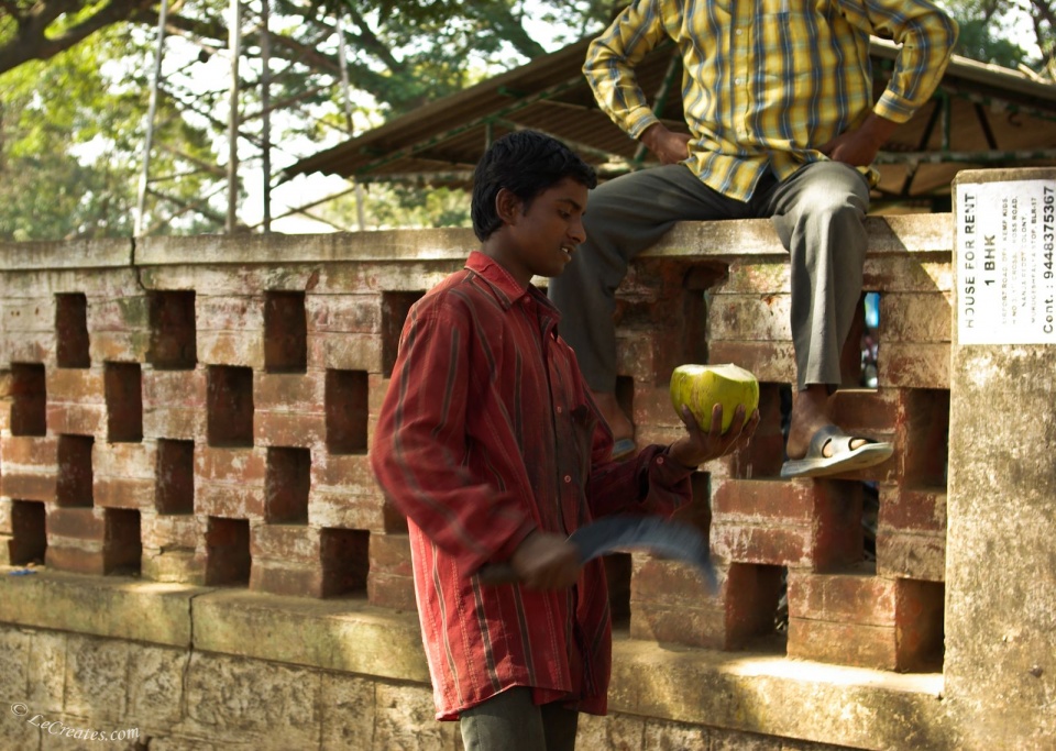 Когда-нибудь пробовали сок молодых кокосов в Индии?