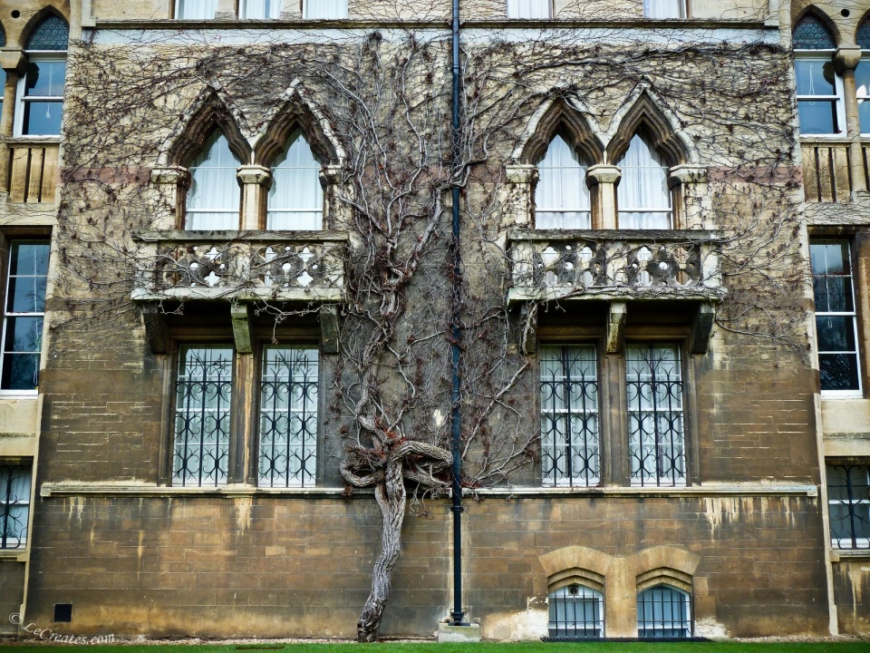 Здание одного из университетов в Оксфорде